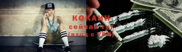 ГАЛЛЮЦИНОГЕННЫЕ ГРИБЫ Белокуриха