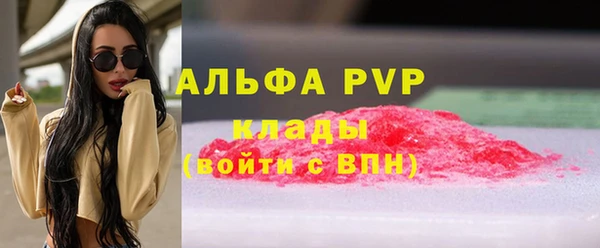 ГАЛЛЮЦИНОГЕННЫЕ ГРИБЫ Белокуриха