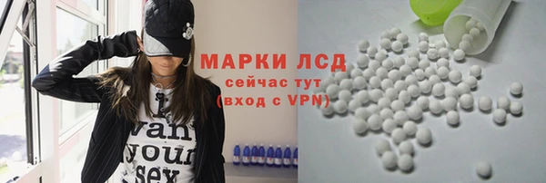 ГАЛЛЮЦИНОГЕННЫЕ ГРИБЫ Белокуриха