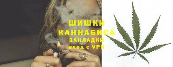 ГАЛЛЮЦИНОГЕННЫЕ ГРИБЫ Белокуриха