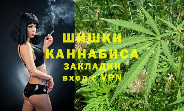 ГАЛЛЮЦИНОГЕННЫЕ ГРИБЫ Белокуриха