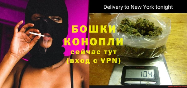 ГАЛЛЮЦИНОГЕННЫЕ ГРИБЫ Белокуриха
