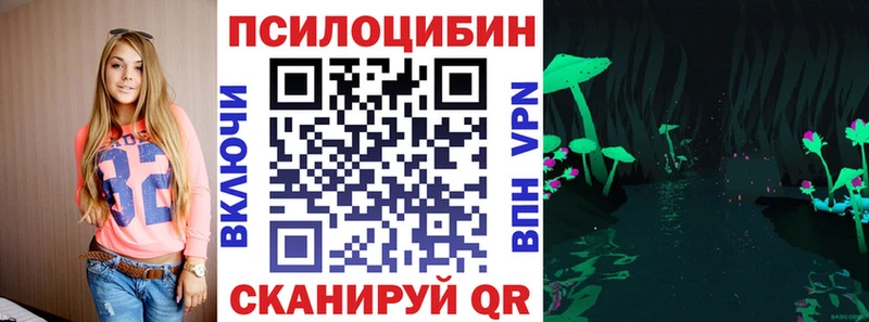 купить наркотик  Константиновск  Псилоцибиновые грибы прущие грибы 